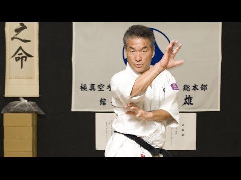 【訃報】極真空手の第5回全日本チャンピオン、極真館の盧山初雄会長が死去。現役時代は下段廻し蹴り、三日月蹴りで一世を風靡
