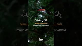 Download lagu Ya Sayyidi Ya Rasulullah #sholawat #inspiration #motivation mp3 Download lagu Ya Sayyidi Ya Rasulullah #sholawat #inspiration #motivation mp3