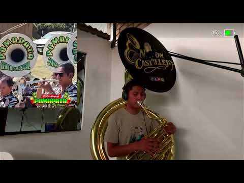 Malo malito malo con tuba - bolognesi Ancash