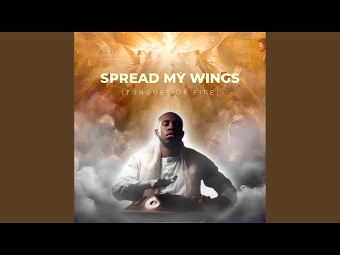 Spread My Wings (Instrumental)