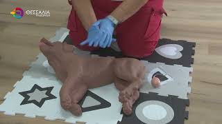 ΛΑΡΙΣΑ: ΜΑΘΗΜΑΤΑ ΠΡΩΤΩΝ ΒΟΗΘΕΙΩΝ ΓΙΑ ΣΚΥΛΟΥΣ ΑΠΟ ΤΟΝ ΕΕΣ 30 08 2025