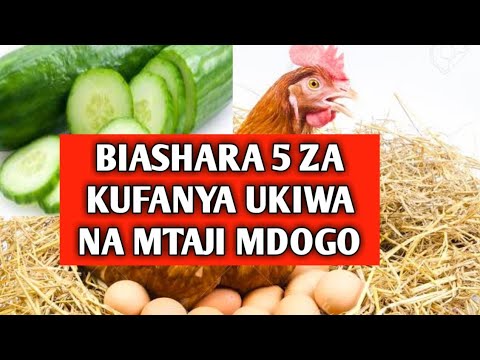 , title : 'Biashara 5 za Kufanya Ukiwa na Mtaji Mdogo Hizi Hapa'