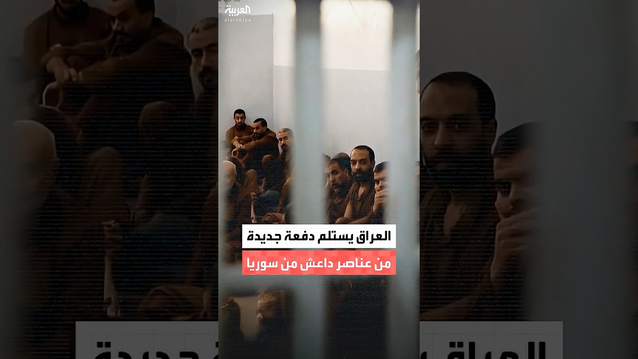 فيديو | القضاء العراقي: مباشرة إجراء التحقيق مع 1387 داعشيا كانوا في سوريا