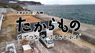 動画のサムネイル