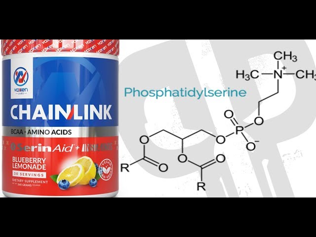 BCAA + Phosphatidylserine | Vaxxen Labs Chainlink Review