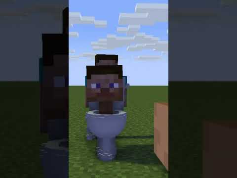Insane Minecraft Skibidi Toilet Animation!