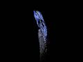 The Scariest Birds Sounds In The World Part 2 Birds Sounds Loon Common Potoo Facts Birds