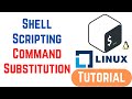 Shell Scripting - Command Substitution