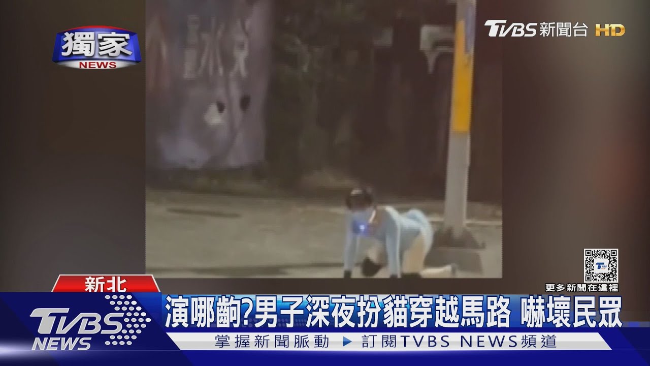 演哪齣? 男子深夜扮貓穿越馬路嚇壞民眾