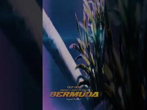 BERMUDA [Out Now] #shorts #music