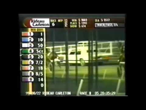 1999 Rideau Carleton BOTANY BAY Bill Gale OSS Gold 2YO C&G Final $100,000 Track Record
