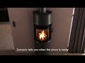Jotul F 170 Zensoric