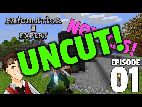 Enigmatica 2 Expert: Episode 1 - NOVICES! - UNCUT!