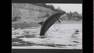 King Pedestrian - Indian Fables (GBV Cover)