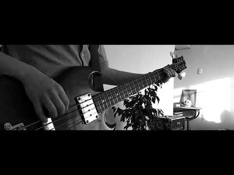 TransMisiva   Capítulo 2   Carlos Cabezas + La Banda del Dolor