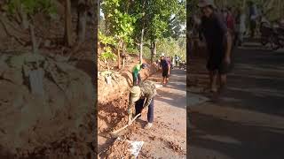 Download lagu Bulu rejo sawahan mp3