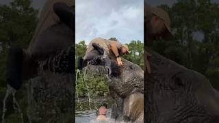 Bubbles the Elephant decided to pick me up😅🤩 by Prehistoric Pets TV