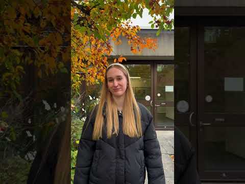 Bachelorstudiengang Digital Business Management I Fakultät Business and Management