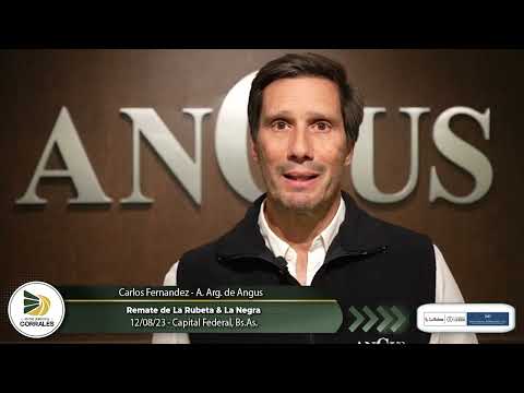 12-08-23 - Carlos Fernandez - A. Arg. de Angus - Remate de La Rubeta y La Negra