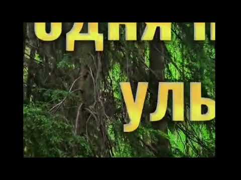 Gudvin - А я сегодня просто буду пить!