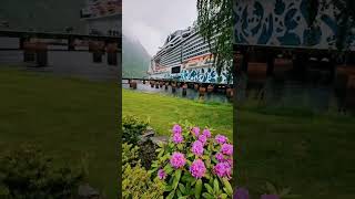 Puoʻ bastare un solo sguardo 💙  Msc Euribia ❤️ Crociera Msc #crociera #msceuribia #msccrociere