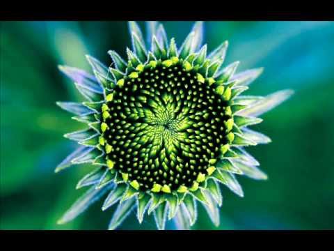 Alternate Vision - Cripple