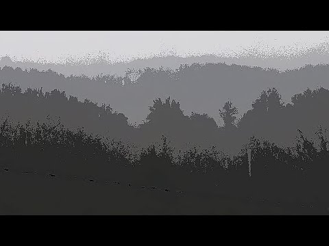 Fuck Fakes(official lyric video)