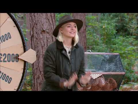 Spin to Win - From the forest - 30th Sept 2021