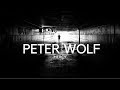 Peter Wolf - Mercy