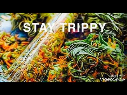 Lucas RHT - The walking rave