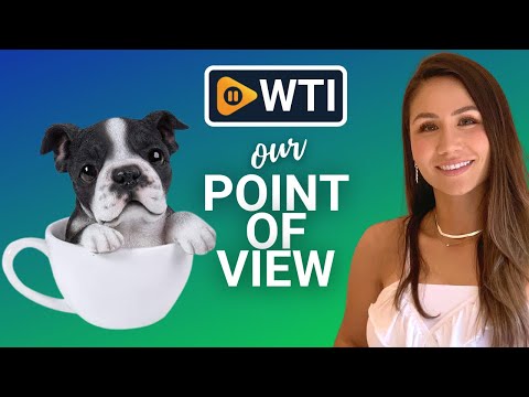 Pacific Giftware Puppy Figurines - WTI product video review