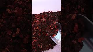 Sphagnum moss Vs. Peat moss - What is the difference #orchids #houseplants #orchidcare #plants