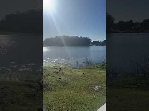Balneario IPORA ~ TACUAREMBO