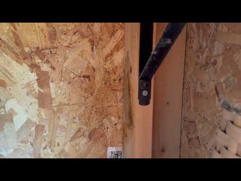Mud Dauber's Nest in the Shed in...