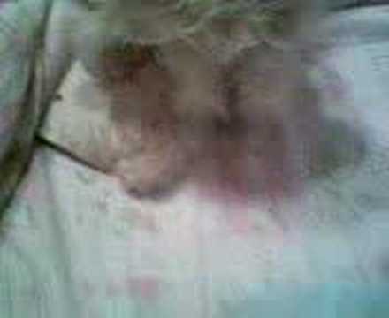 Qualquer coisa serve,para este menino não roer a ligadura!