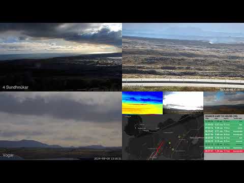 Reykjanes multiview - Live from Iceland