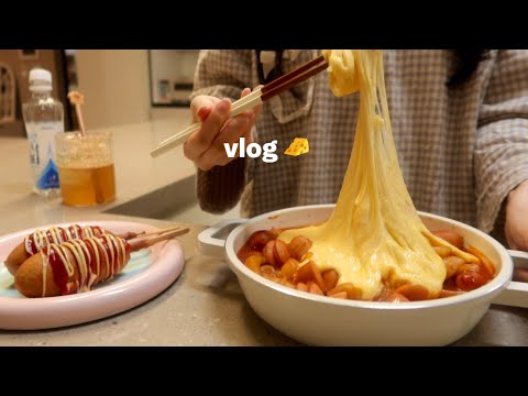 24hours Vlog of home-lover, Home alone party making cheese tteokbokki after work with lunchbox