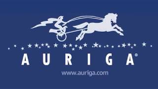 Auriga - Video - 2