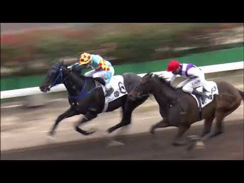 20220306 R3cantonese