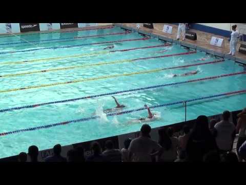 400 livre vinculados dez 2013 - Petiz 2