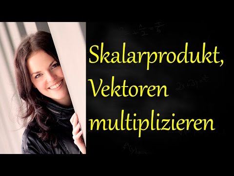 Skalarprodukt von Vektoren berechnen, Vektoren multiplizieren