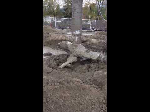 Soil Mixing with Amix Grouting Systems & Bauer BG 30