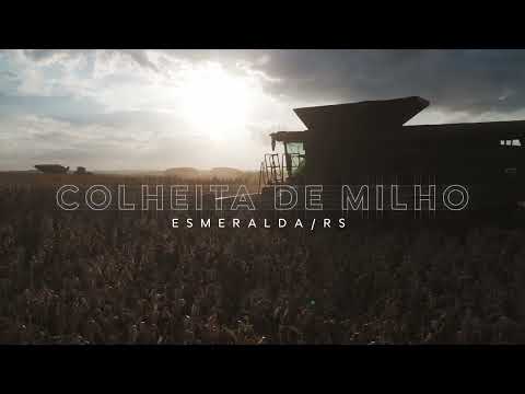 Colheita de Milho no RS: Plataforma Produttiva + Carreta Graneleira Waggon ED 33.000