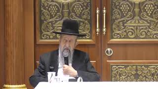 הרב בן ציון מוצפי • אשדוד שידור חי • בית הכנסת החיד"א (הרב בן ציון מוצפי) - התמונה מוצגת ישירות מתוך אתר האינטרנט יוטיוב. זכויות היוצרים בתמונה שייכות ליוצרה. קישור קרדיט למקור התוכן נמצא בתוך דף הסרטון