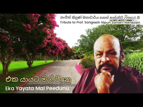 Eka Yayata Mal Peedunu - Tribute to Prof. Sangeeth Nipun Sanath Nandasiri