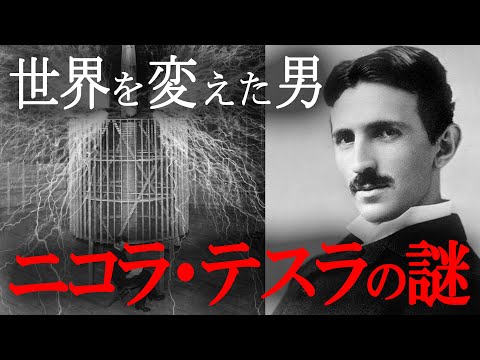 「テスラ船」の最初の例は秋からオランダで航行する予定