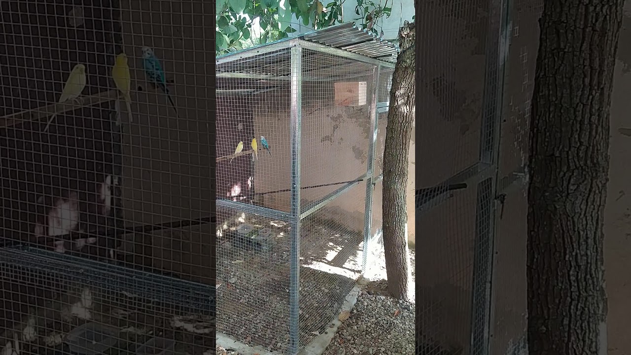 Jaula para aves grande hecha en aluminio
