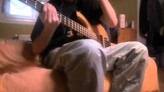 [BASS COVER] Danakil la faille