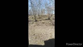 Cornelis Wreesvijk. Sommarkort