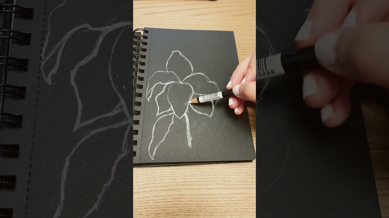 let me know what other drawings should i do on black paper! #blackpaper #shorts #drawing #ytshorts